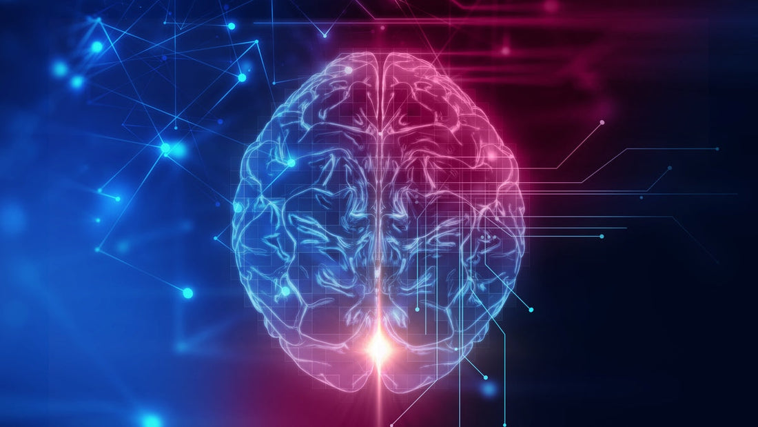 Brain and Body Health