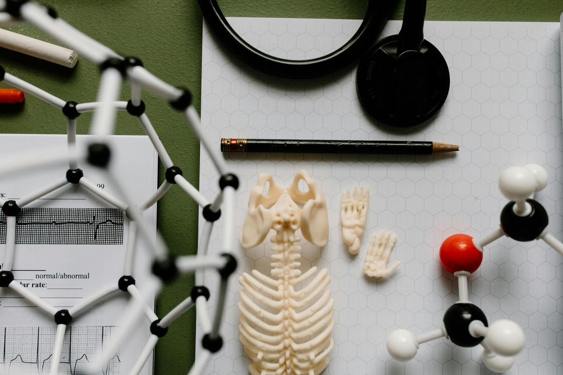 NMN vs NR: What's the Difference and Which Should You Take?