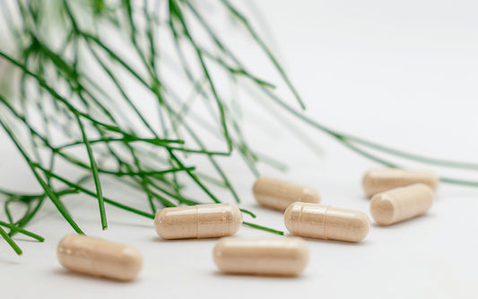 The Supplement Stack David Sinclair Takes Every Day