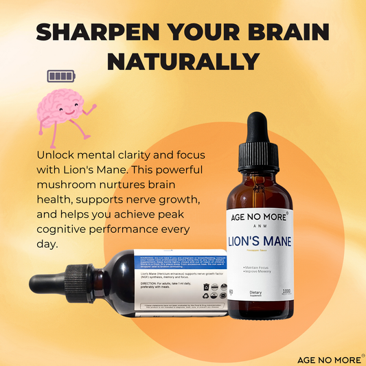 1+1 | Lion's Mane Extract | 60ml